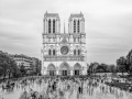 Projected-Subject-Gold-Colin-White-Notre-Dame-Renewal