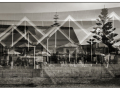 Projected-Subject-Silver-Lynda-Dilena-Busselton-Cafe