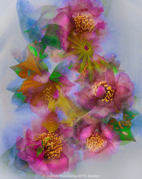 Projected-Colour-Bronze-Maryjo-Gomez-Jackson-Petals-Frequencies