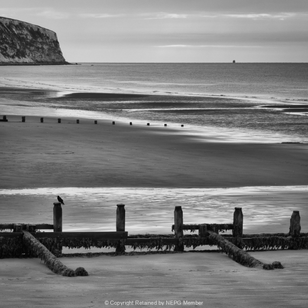 Projected-Mono-Gold-Richard-Eaton-Bleak-Beach