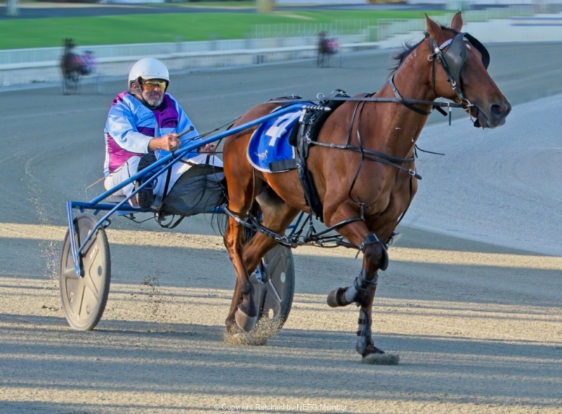 Projected-Subject-Bronze-Greg-Edwards-Hot-To-Trot