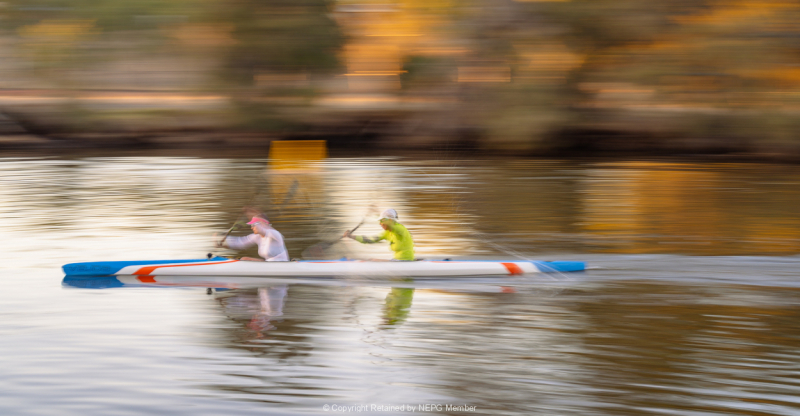 Projected-Subject-Silver-Michelle-De-Swardt-Canoeing-The-Swan