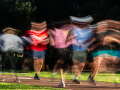 Print-Subject-Silver-Paul-Sauter-Park-Run