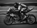 Projected-Mono-Bronze-Lilly-Ohara-Racing