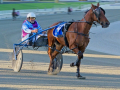 Projected-Subject-Bronze-Greg-Edwards-Hot-To-Trot