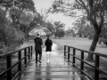 Projected-Subject-Bronze-Angela-Bushby-Downpour-in-the-park