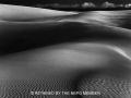 Gold_Subject Projected_The Sand Dunes_Mary Jo Gomez-Jackson