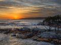 Projected-Colour-Gold-Greg-McCluney-Sunrise-Bay-of-Fires