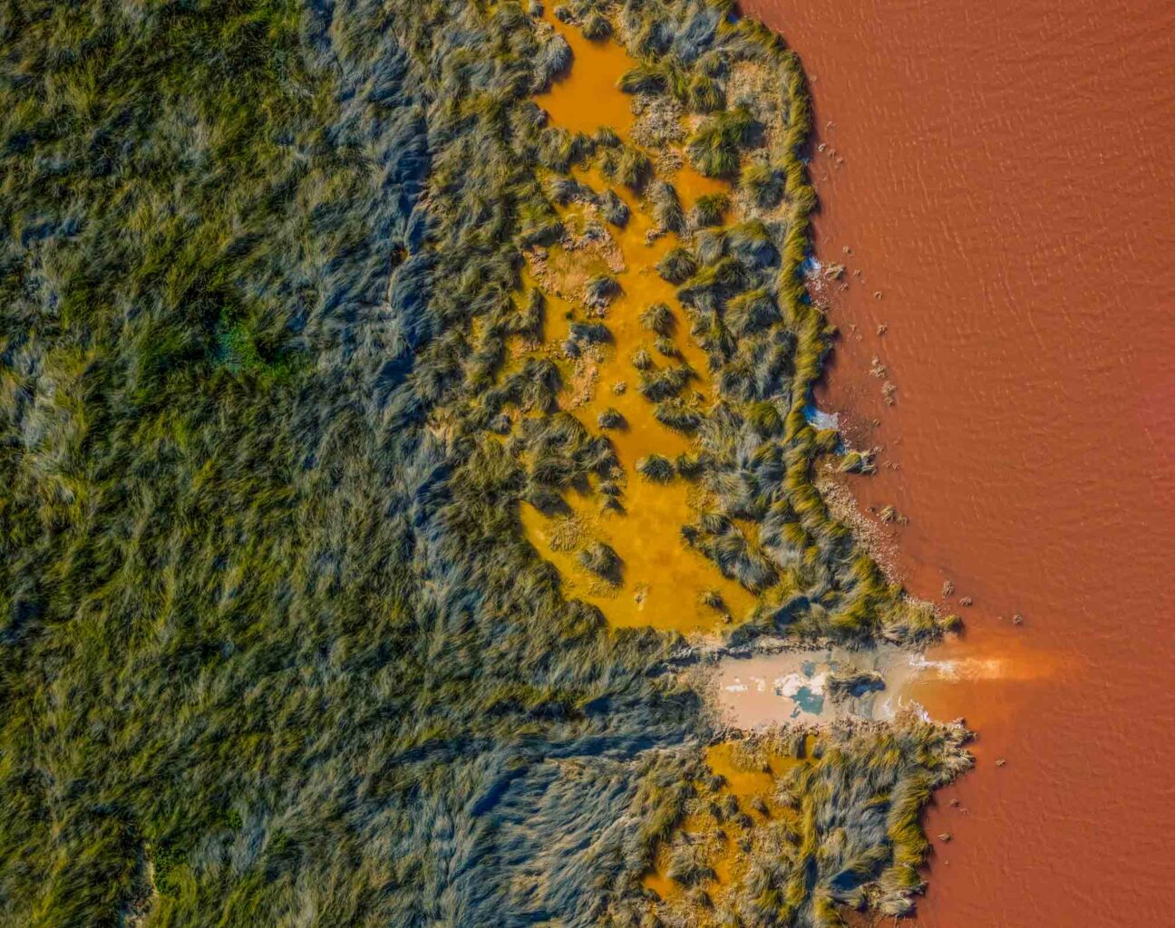 Where Gold Meets Copper